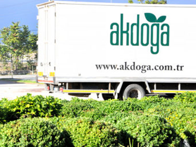 Akdoğa Çiçekçilik