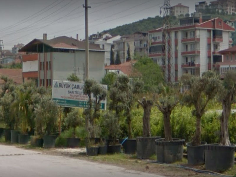 Büyük Çamlıca idanlığı