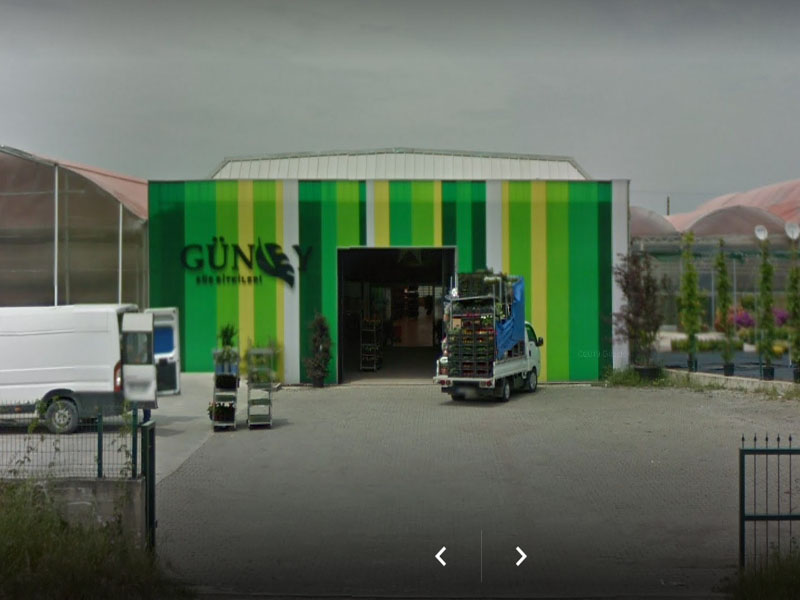 Yalova Güney Çiçekçilik