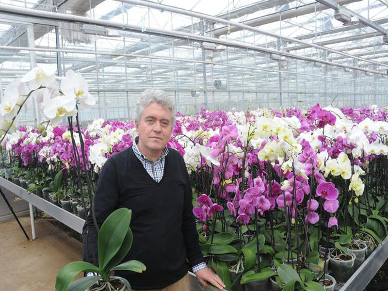 Tuğtekin Çiçekçilik